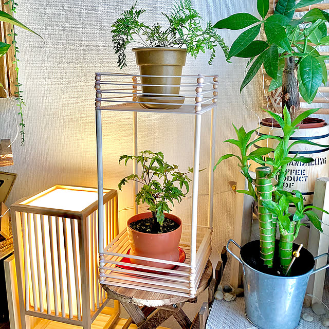 My Shelf,木製ビーズ,わが家の夏のキロク,ナチュラル,木製,インテリア,100均,ハンドメイド,一人暮らし,夏,ナチュラルインテリア,アレンジ,木製インテリア,ダイソー,間接照明,バンブー,グリーンインテリア M_Mの部屋