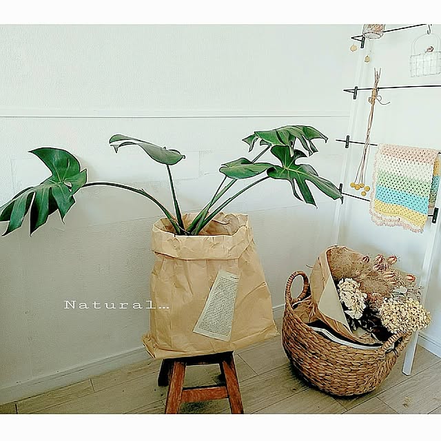 Lounge,SDGs,ナチュラル,ドライフラワー,ナチュラルインテリア,グリーンのある暮らし,ナチュラルが好き,優しさに感謝です♡,おうち時間,コメントお気遣いなく♡,かご,モンステラ,少し前の写真。,イベント参加します♡,訪問がなかなか出来ずゴメンナサイ,米袋リメイク,米袋,鉢カバー,お久しぶりです♡ umiumiの部屋