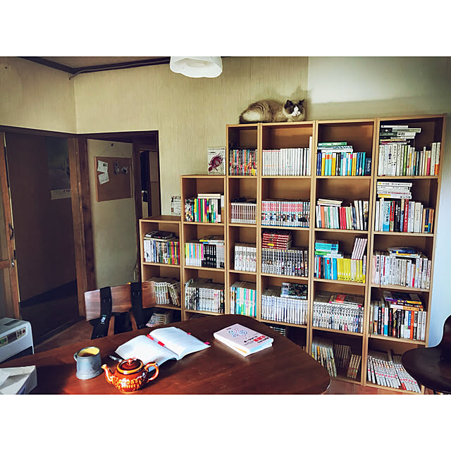 My Shelf,noce,古い家,昭和の家,ラグドール,佐渡島,猫,一軒家,無印良品,本 akiraiguchi32の部屋