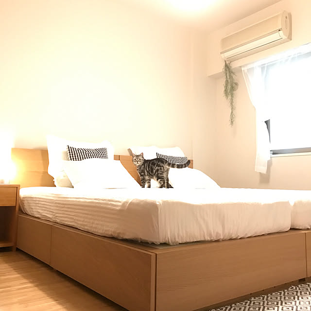 Bedroom,IKEA 照明,高密度ポケットコイルマットレス,寝具,無印良品,ニトリ,いつもいいねやコメありがとうございます♡,訪問できなくてごめんなさい(ToT),いいねの押し逃げごめんなさい,ねこ部,猫と暮らすマンション,サイドテーブル hiyupan88の部屋