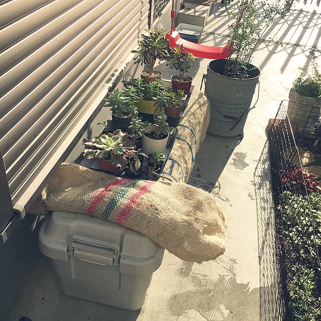 Entrance,無印良品,麻袋,庭,NO GREEN NO LIFE,花が好き,ig/cocco0505,私の癒し cocco0505の部屋