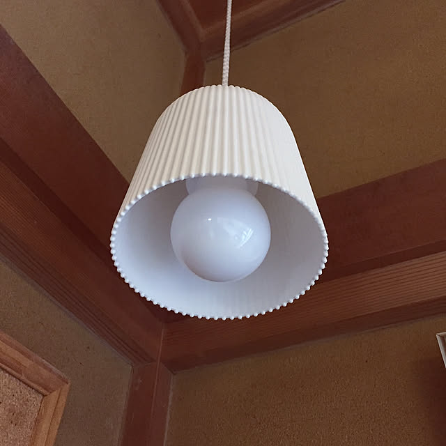 100均大好き,植木鉢,LEDペンダントライト,ダイソー,On Walls yocchiの部屋