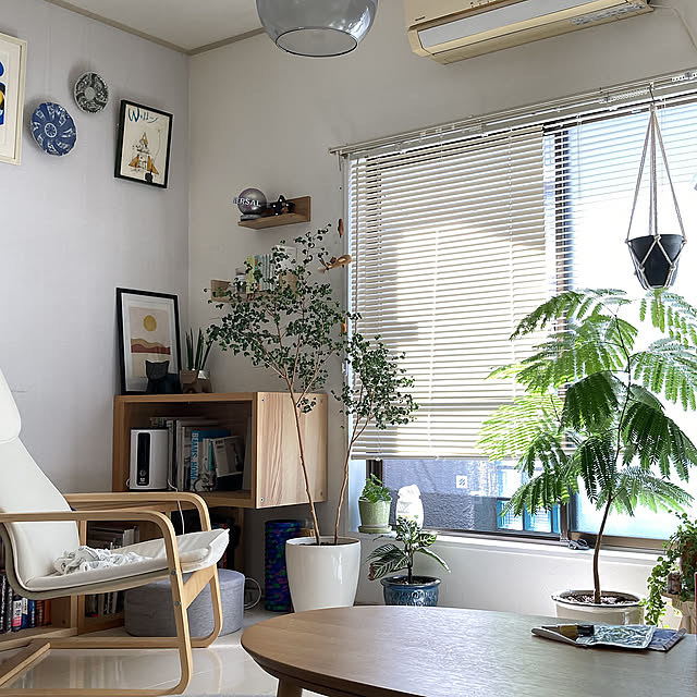 ペットカメラ,カインズホーム,100均,TheFarm,壁に取り付けれる棚,エバーフレッシュ,DIY,ガチャガチャ,舟田潤子 銅版画,サンスベリア,ニトリ,ベンジャミンバロック,ユニバーサルスタジオジャパン,E.T.,IKEA,NO GREEN NO LIFE,モビール,本が好き,ペットと暮らすインテリア,いぬと暮らす,ペットと暮らす家,Lounge kotahiguの部屋