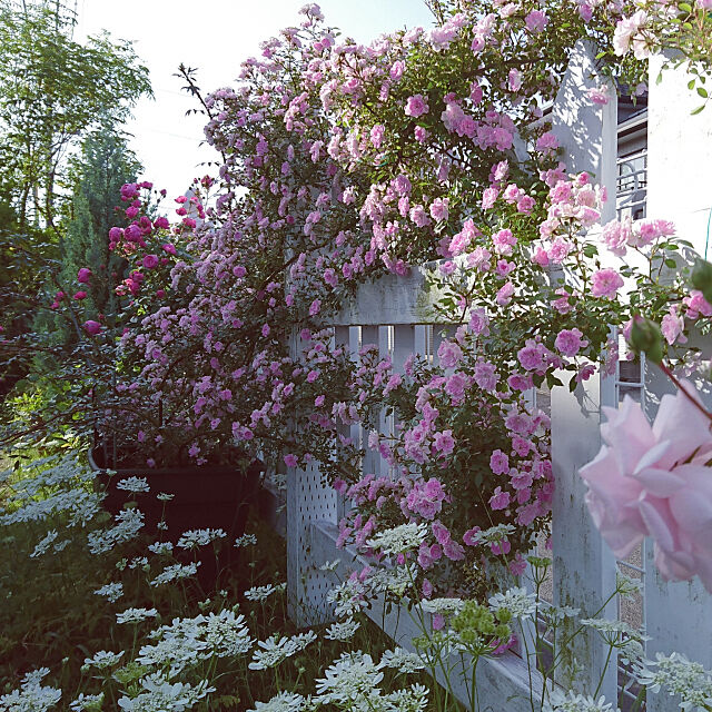 咲き誇る花々をさらに美しく Diyで叶える理想のガーデン Roomclip Mag 暮らしとインテリアのwebマガジン