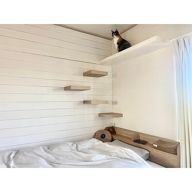 IKEA LACKシリーズ,板壁DIY,シップラップ,団地暮らし,団地生活,ミックススタイル,ミックスインテリア,猫とインテリア,ACME FURNITURE,ねこと暮らす,キャットタワー,Bedroom TSUYOSHI.の部屋