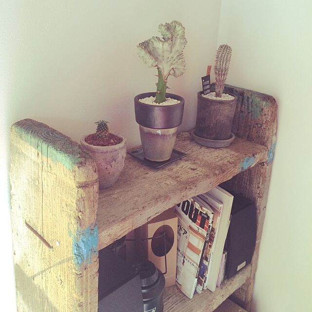 My Shelf,sunny plants porter,サボテンと多肉植物,サボテン&多肉,足場板古材,足場板DIY,足場板の棚,DIY,多肉植物,花昌 aianの部屋