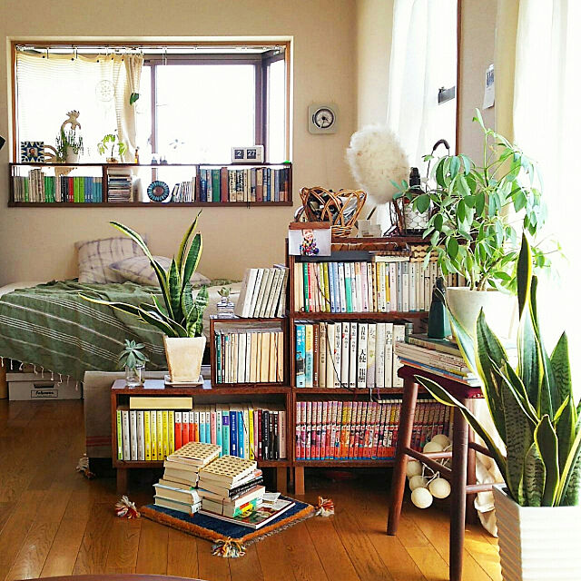 My Shelf,本棚,観葉植物,賃貸,ひとり暮らし,狭い部屋,身の丈生活,DIY,植物のある暮らし,一人暮らし,出窓 naoの部屋