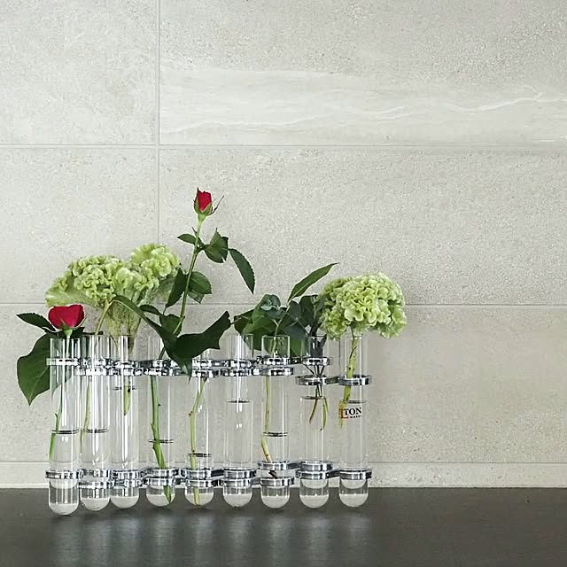 My Shelf,お気に入り,ダルトン,お気に入り雑貨,試験管,試験管風花器,試験管花瓶,花びん,ダルトンの花器,生花を楽しむ,ダルトン雑貨,生花を長く楽しみたい 75の部屋