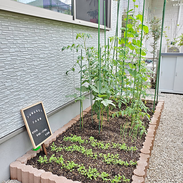 Entrance,家庭菜園始めました‼,家庭菜園初心者,園芸,家庭菜園,きゅうり,ミニトマト,小松菜 tk89の部屋