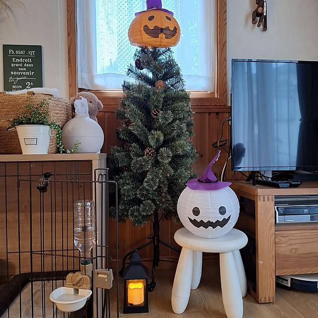 スツール,ナチュラル,ナチュラルインテリア,サーキュレーター,イベント参加,腰壁,ペットと暮らす,見てくださってありがとうございます,IKEA,IKEAのスツール,スコグスタ,ディスプレイ,マンムット Blancheの部屋