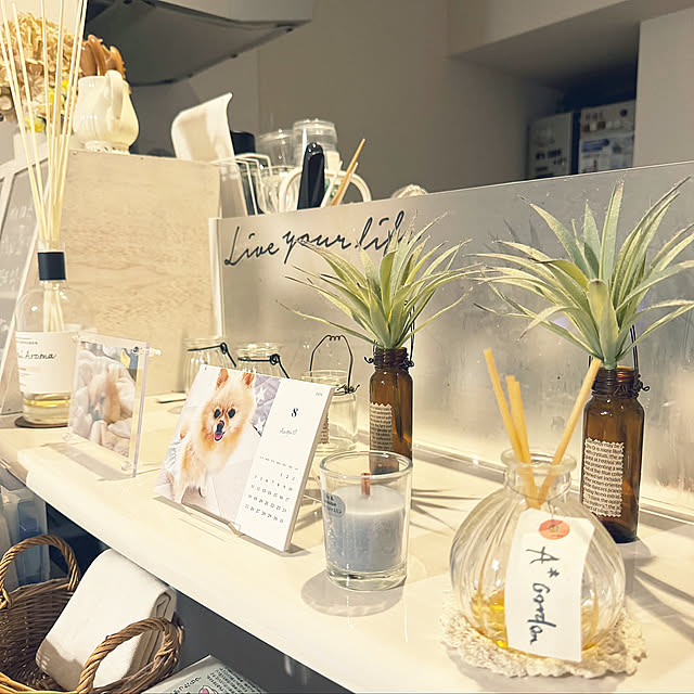 Kitchen,賃貸インテリア,RC九州支部,しゃれとんしゃあ会,ナチュラル同盟♡,愛犬と暮らす家♡,おうち快適化計画,香りのある暮らし m-naturalの部屋