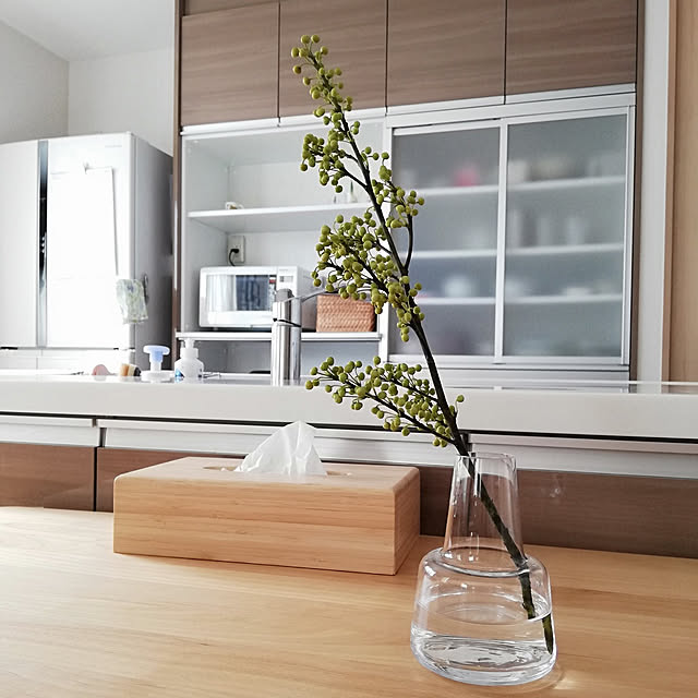 Kitchen,おうち見直しキャンペーン,RoomClipショッピング,ホルムガード フローラ,ホルムガード,フラワーベース,アオモジ mii-sanの部屋