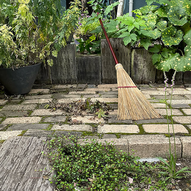 レンガはDIY,枕木花壇,雑木の庭,コープカタログ商品,ネジバナ,アズマ工業庭ほうき,ガーデニング,山野草が好き,RoomClip10周年,イベント参加,夫に感謝,Entrance,斑入りヨモギ,ワイヤープランツ,シュウメイギク,斑入りツワブキ nobikoの部屋