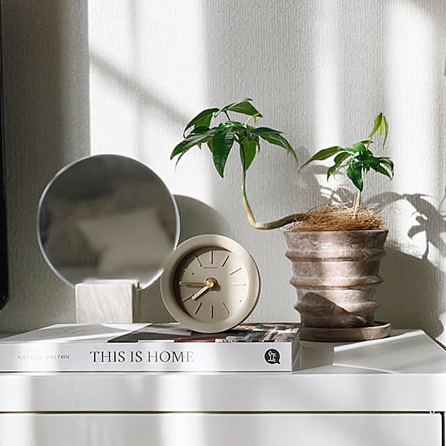 パキラ,グリーンのある暮らし,植物のある暮らし,建売住宅,ig→_____hla.18,ディスプレイ棚,シンプルに憧れる,海外インテリアに憧れる,モノトーンナチュラル,H&M HOME,いつも皆さんありがとうございます♡,コメントお気遣いなくです❤︎,ベージュが好き♡,洋書,My Shelf mimiの部屋