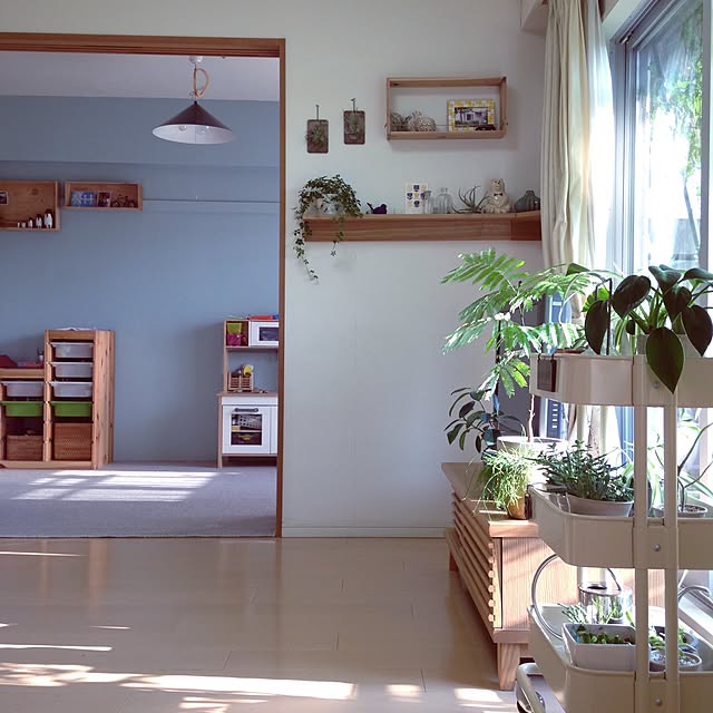 Lounge,グリーンカーテン,DIY,IKEA,IKEAワゴン,無印良品,北欧,和室を改造,セルフペイント,グリーンのある暮らし,こどもと暮らす。 takaの部屋