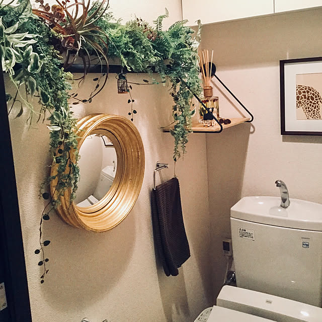 Bathroom,ZARA HOME,ミラー壁掛け,フェイクグリーン,ディノスつっぱり棒,アートポスター chapiの部屋