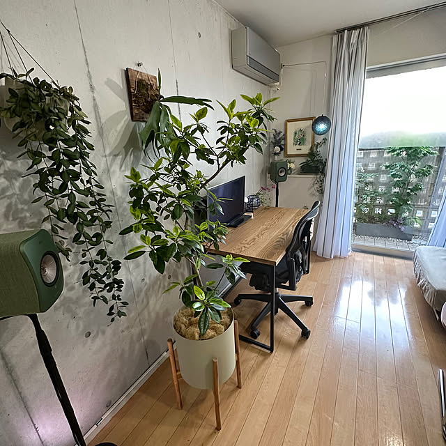 いろいろな植物つよし,アースガーデン,害虫対策,植物のある暮らし,ガーデニング,ディスプレイコーナー,8畳1K,アートポスターのある暮らし,ワンルーム,1K,8畳,ひとり暮らし,観葉植物,My Desk umai-bの部屋