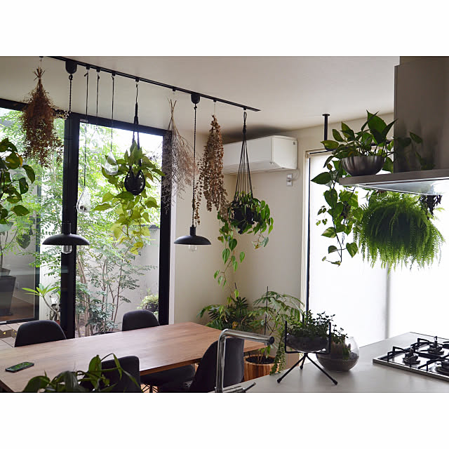 Kitchen,インスタ tongarihouse,NO GREEN NO LIFE,グリーンのある暮らし,観葉植物,シンプルライフ,ミニマリストに憧れて,インドアグリーンのある暮らし,キッチンリセット,シンプル tongarihouseの部屋