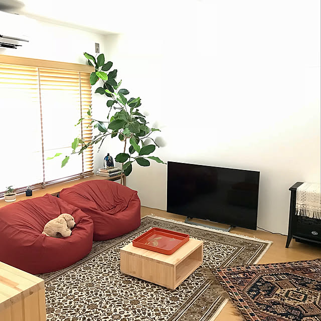 Lounge,イベント参加させていただきます♪,RoomClipドラマ化,団地インテリア,mixインテリア,大人のひとり暮らし,ウッドブラインド,ビンテージラグ,ヴィンテージ ラグ,グリーンのある暮らし,好きなものに囲まれて暮らしたい,1LDK,フィカスシーマ,団地リノベーション dekoの部屋