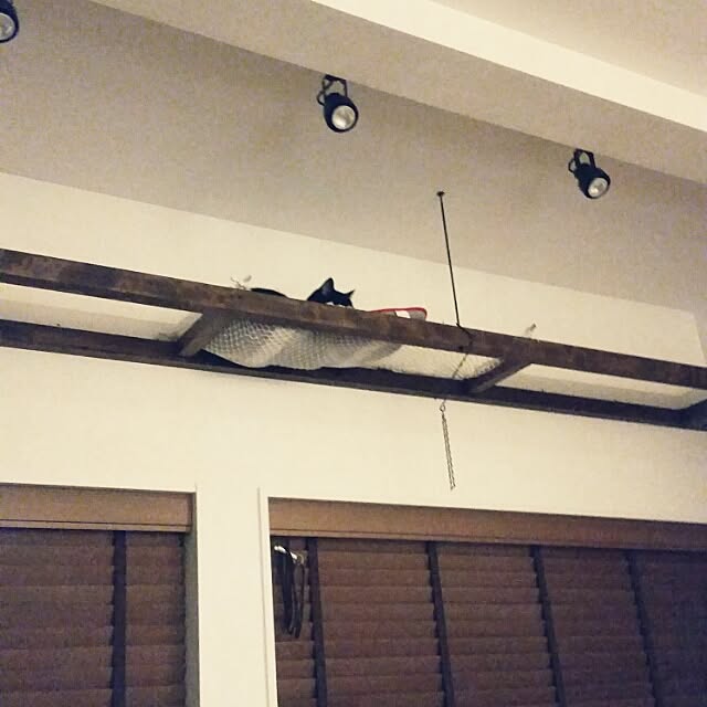 On Walls,外は雪…,スポットライト,ブラインド,キャットウォーク,ペット,猫,グリーン掛けるチェーン取り忘れ（汗）,ねこ部,ねこのいる日常,ねこと暮らす。 nekogurumaの部屋