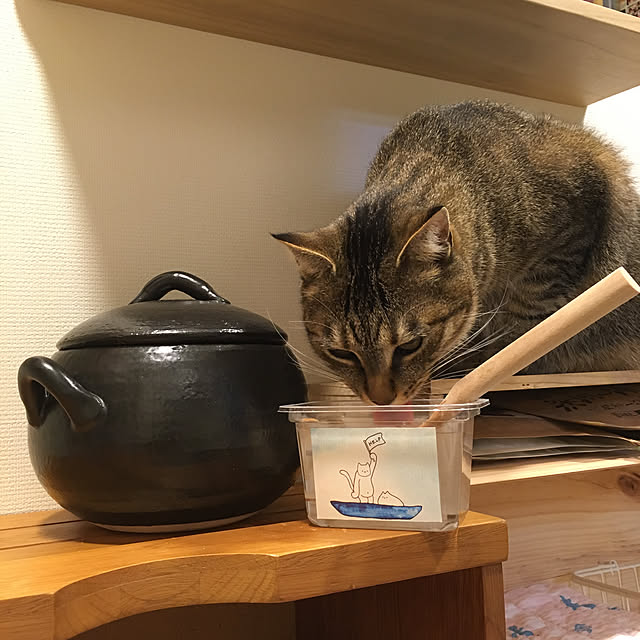 Kitchen,にゃんことみーこ,ワイン木箱,土鍋,お味噌容器,空き容器,しゃもじ立て,しゃもじ入れ,しゃもじ,ねこ,猫,ねこ部,猫部,保護猫,猫のいる日常,ムーンちゃん,猫と暮らす,猫との生活 mikomaruの部屋