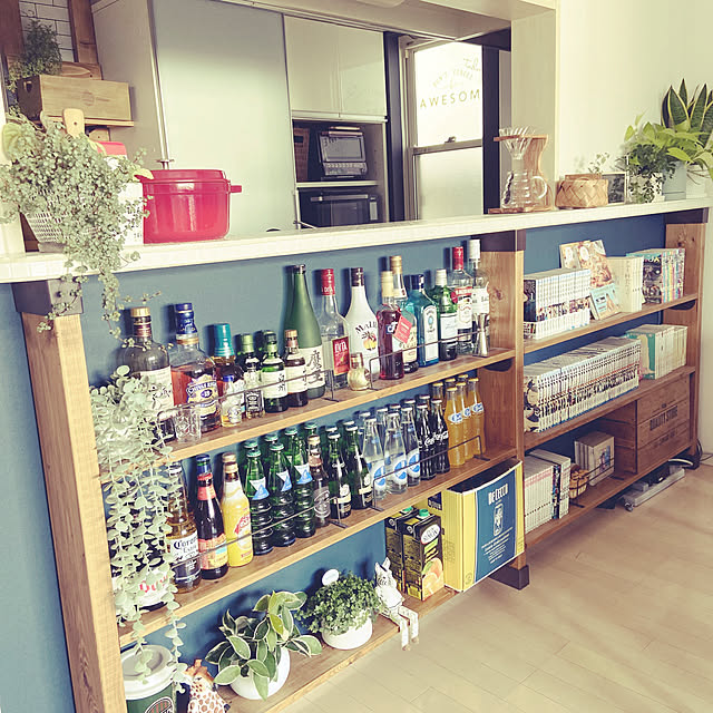 ディアウォール,ピレアグラウカ,ポトスライム,シュガーバイン,サンスベリア,STAUB,Little Owner,ルーター隠し,BRIWAX,カウンター下収納,ホヤカルノーサ,フィカスプミラミニマ,DIY,お酒大好き♡,観葉植物,グリーン,コーヒー,HARIO,窓辺,癒し,アクセントクロス,My Shelf gachaの部屋