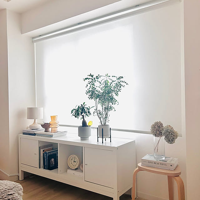 My Shelf,IKEAの棚,ロールスクリーン,カーテン・ブラインド,北欧,北欧インテリア,海外風インテリア,賃貸インテリア,グリーン rumiichiの部屋