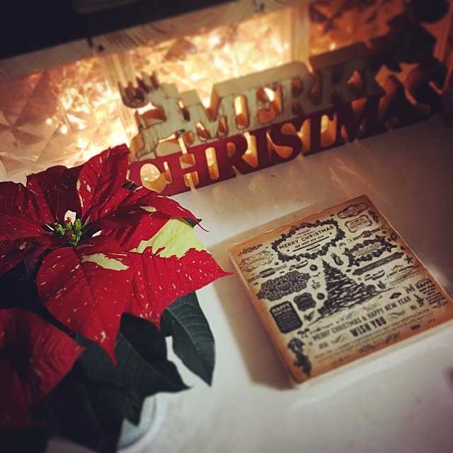 Lounge,ガラスブロック,エクステリア,JJPROHOME,クリスマス,見せる収納に憧れる,☆コンクリートジャングル化計画☆,いいね&フォローありがとうございます☆,ポインセチア onokenkoの部屋