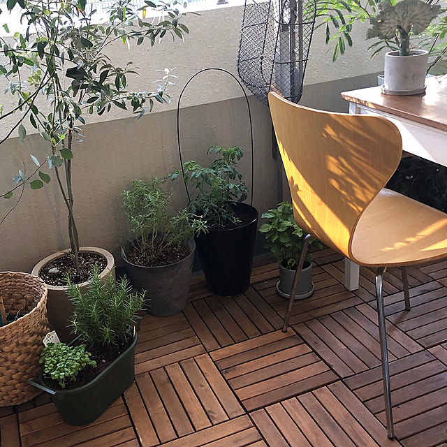 ベランダ菜園,イケアでおうちアウトドア,ベランダ saokoの部屋