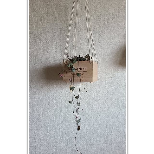 On Walls,10分でできる,プラントハンガー,ダイソーの木箱,ドイリー monnの部屋