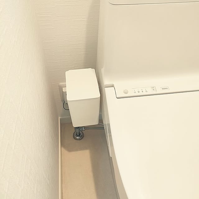 Bathroom,大掃除,スッキリ暮らしたい,シンプルな暮らし,心地よく暮らす工夫,サニタリーボックス,Daiso pinponmamの部屋