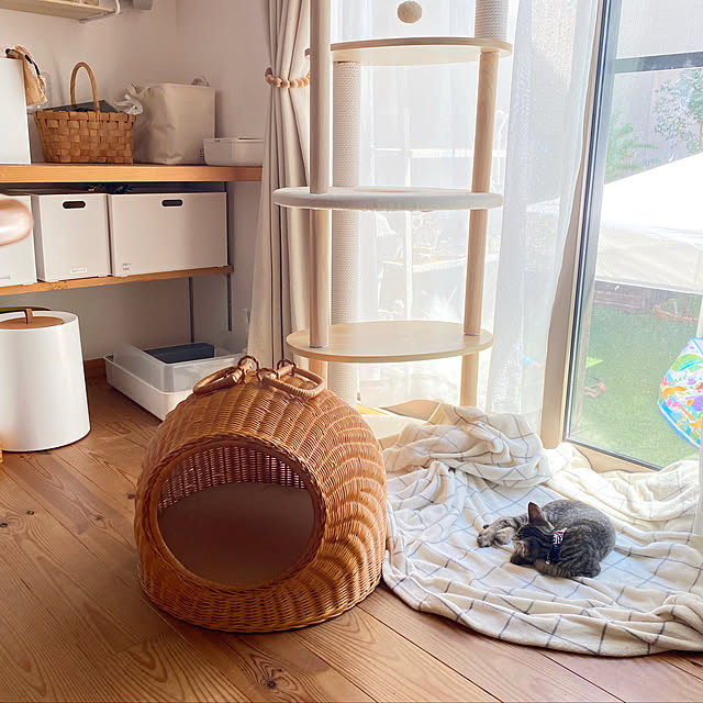 猫ちぐら,夏のスペシャルクーポン,RoomClipショッピング,ねこと暮らす,北欧ナチュラル,北欧インテリア,ナチュラルインテリア,My Desk puu.tuuliの部屋