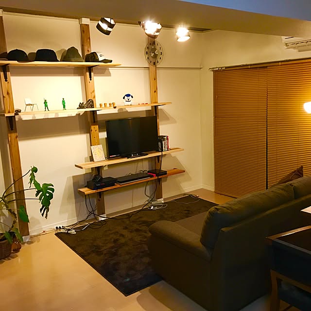 Lounge,ディアウォール棚,ディアウォール,DIY,観葉植物,男前,一人暮らし,ニトリ pennyの部屋