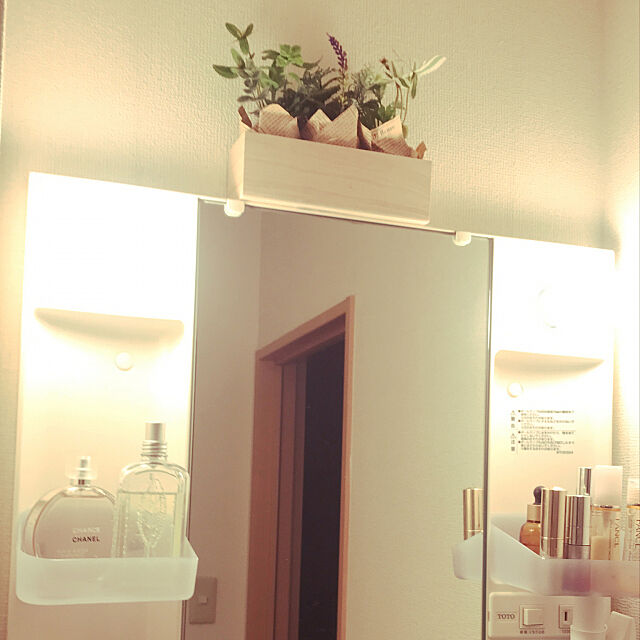 Bathroom,ダイソーのフェイクグリーン,ひとり暮らし ameonnaの部屋