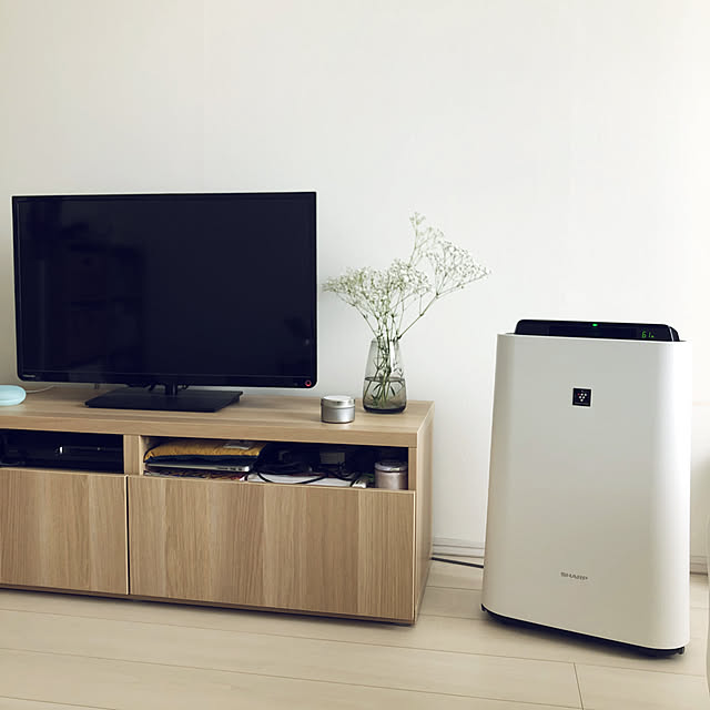 KINTO,無印良品,ナチュラル,一人暮らし,IKEA,観葉植物,Overview KTの部屋