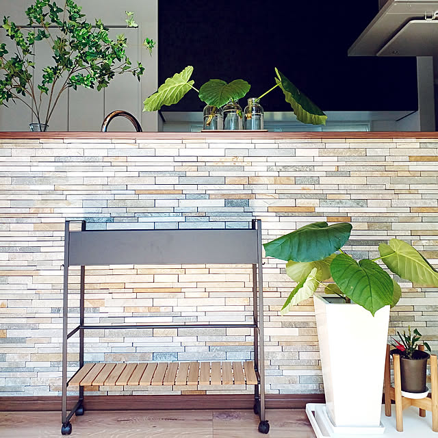 Kitchen,RoomClipショッピング,ウッド×モノトーン,ウンベラータ,ポインセチア,挿し木ウンベラータ,インダストリアル,タイル貼り,DIY,tower,プランターラック HINAMIZUの部屋