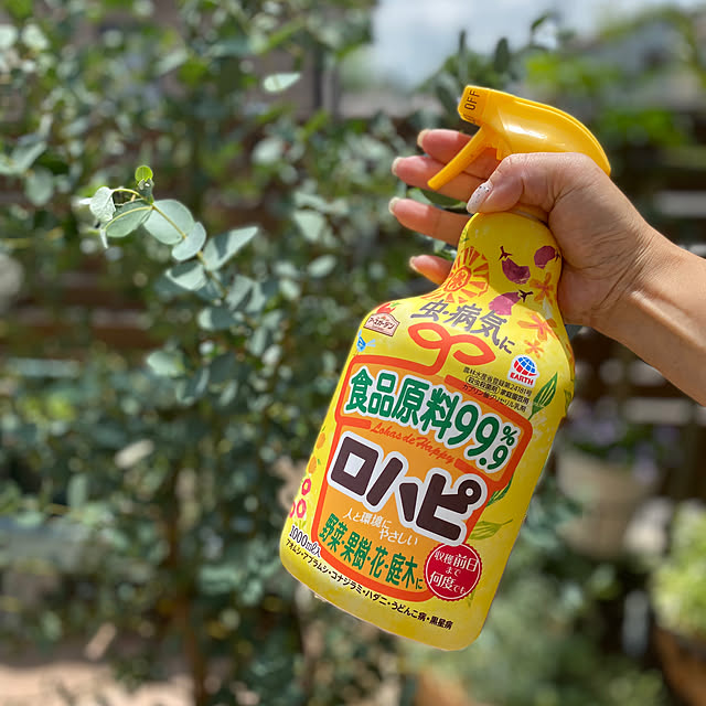 お庭のある暮らし,ユーカリグニー,ユーカリ,アースガーデン,害虫対策,ガーデニング,モニター当選ありがとうございます,モニター当選,Entrance HelloKitchenの部屋