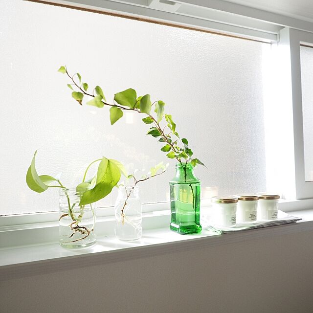 Kitchen,キャンドル,lifart…,キッチン小窓,挿し芽,観葉植物,シンプルナチュラル,TODAY'S SPECIAL a_tankoの部屋