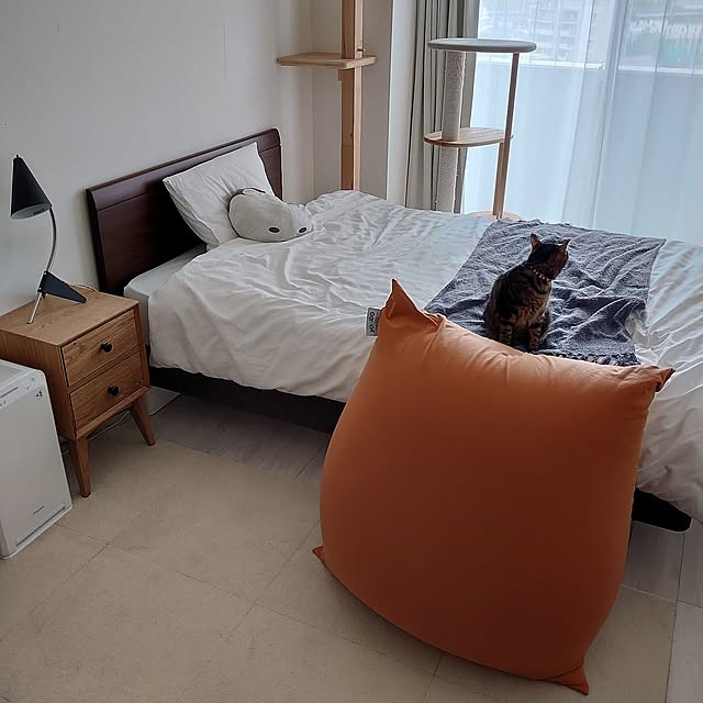 Overview,1K,賃貸,ひとり暮らし,ねこ,狭い部屋,猫と暮らす部屋,ベージュ系,Yogibo Mini,ヨギボー eenashiの部屋