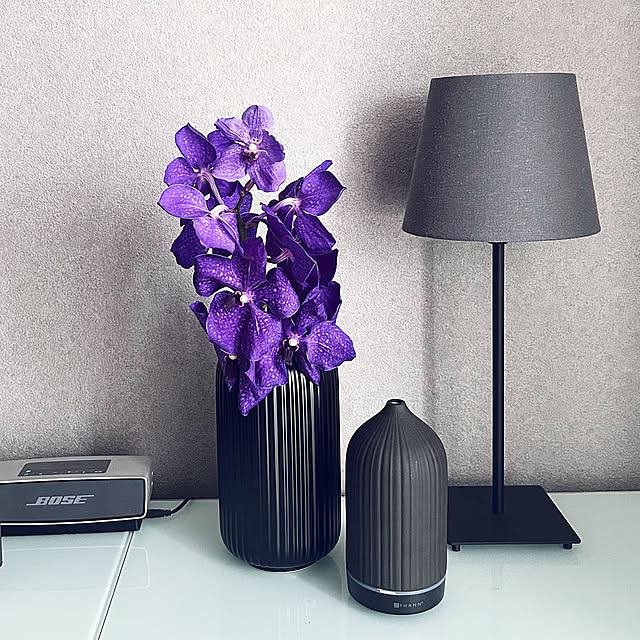 Lounge,IKEA,一人暮らし,シンプルモダン,男前,グレーインテリア,ホテル風,シックモダン,グレーインテリア目指し中,海外風インテリア,シンプル インテリア,照明,アクセントウォール,北欧,ボタニカルインテリア chrisrioの部屋