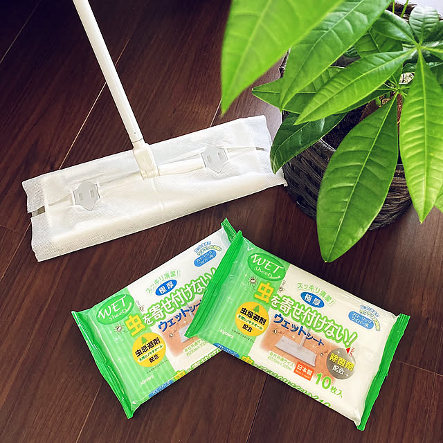 Entrance,フローリングワイパー用ウェットシート,キャンドゥ,セリア,虫を寄せ付けないウェットシート,100均アイテム,昭和の家,築40年,グリーン,リビング mommyの部屋