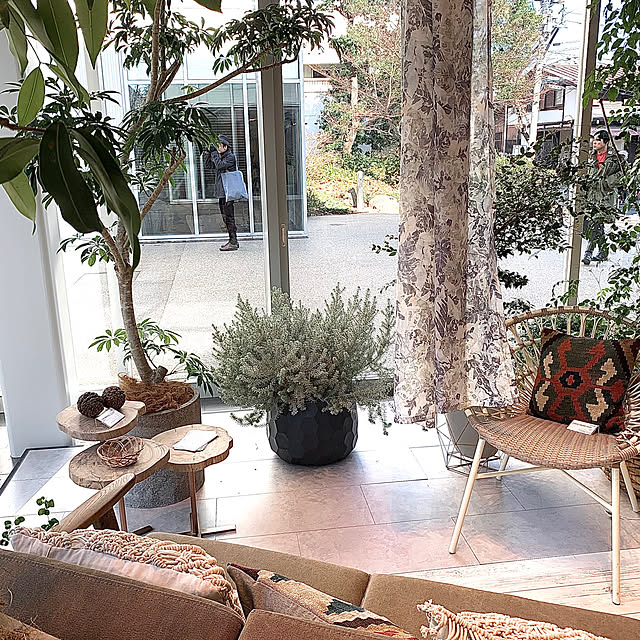 みどりのある暮らし,クレイペイント,ナチュラルクレイの床,Living Deli,interio,アクセントボード,ラシッサ,LIXIL,壁材,理想のインテリア,床材,インテリアボード,理想のキッチン,こどもと暮らす。,お洒落な空間,ちょっといいもの,理想のお家,こどものいる暮らし,理想の部屋,木のぬくもり,理想の暮らし,Lounge sAeの部屋