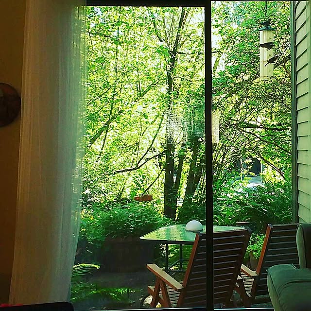 Lounge,バンクーバー,のんびり,朝の部屋,写真練習中,green forest,カナダ,1969組,窓を開けよう,初夏,タウンハウス,裏庭,6月,森の中の家,野鳥の来る家,ほったらかしガーデン,ミステリーガーデン,グリーンのある暮らし Makieの部屋