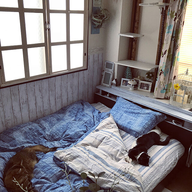 Bedroom,ニトリの布団カバーセット,二重窓DIY,キャットタワーDIY,猫のいる暮らし,ねこ部入部希望 coconyantaの部屋