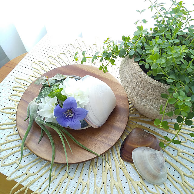 夏の模様替え,夏,見てくれてありがとうございます♡,日常を楽しむ,フォロワーの皆様に感謝♡,季節を楽しむ暮らし,庭の花を飾る,ナチュラル舛添の会,chilewich,貝殻ディスプレイ,海辺で見つけた宝物,エアプランツ,観葉植物のある暮らし,花のある暮らし,ペペロミアデピーナ,ホワイト×ナチュラル×グリーン,ムラサキラブの会,想像の翼を広げる,参考つけさせていただきました♪,保存して下さりありがとうございます♡,真夏のインテリア改造計画,My Desk Haの部屋