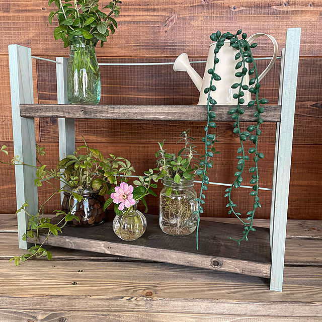 ミント,シュガーバイン,CAINZ HOME,Cainz,観葉植物のある暮らし,ワークショップの作品,カインズホーム,カインズDIY,ガーデニング初心者,DIY女子,DIY初心者,Lounge myonghaeの部屋