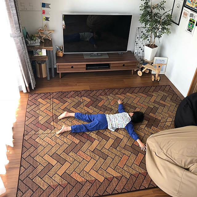Lounge,光触媒グリーン,アクタス雑貨,無印良品 体にフィットするソファー,モニター当選ありがとうございます,モニターレポート,イケヒコ,い草ラグ,北欧 hanahaの部屋