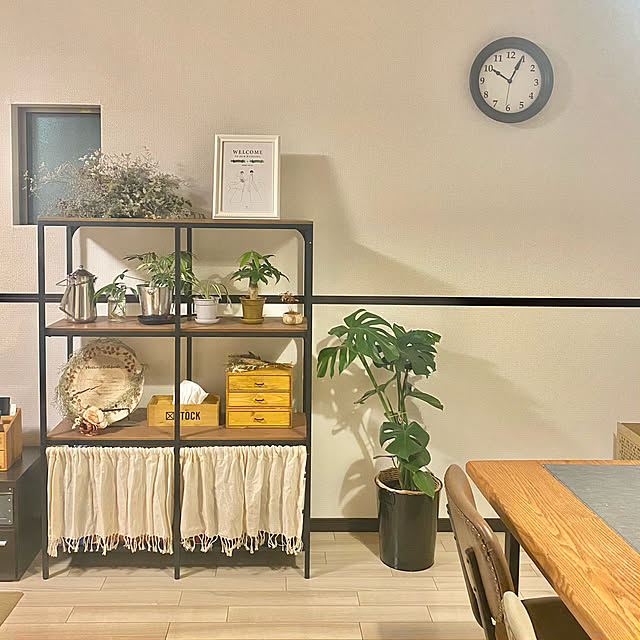観葉植物初心者,観葉植物,観葉植物のある部屋,観葉植物のある暮らし,インテリア雑貨,リビングダイニング,リビング,カフェ風,賃貸,雑貨,つっぱり棒,きゃんDo,シンプル,cando,ナチュラル,ハンドメイド,Lounge Ayaneの部屋