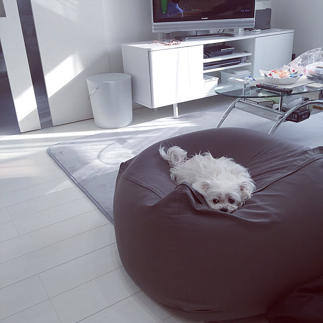 Lounge,IKEAテレビ台,犬をダメにするソファー,人をダメにするソファ,新築マイホーム,ホワイト,白い床,白い家,モノトーンインテリア,白黒グレー mykの部屋