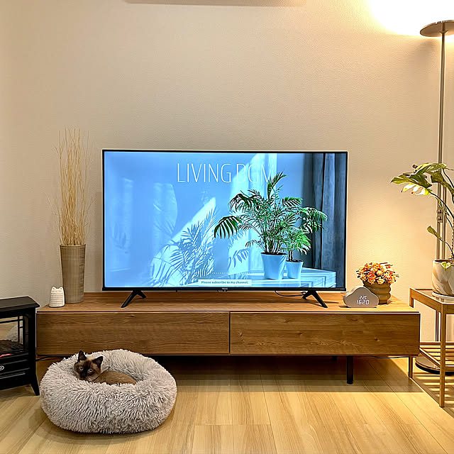 Lounge,IKEA照明,bruno時計,テレビボード,ナチュラル,観葉植物,照明 hirokoの部屋